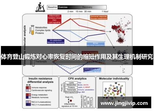 体育登山锻炼对心率恢复时间的缩短作用及其生理机制研究